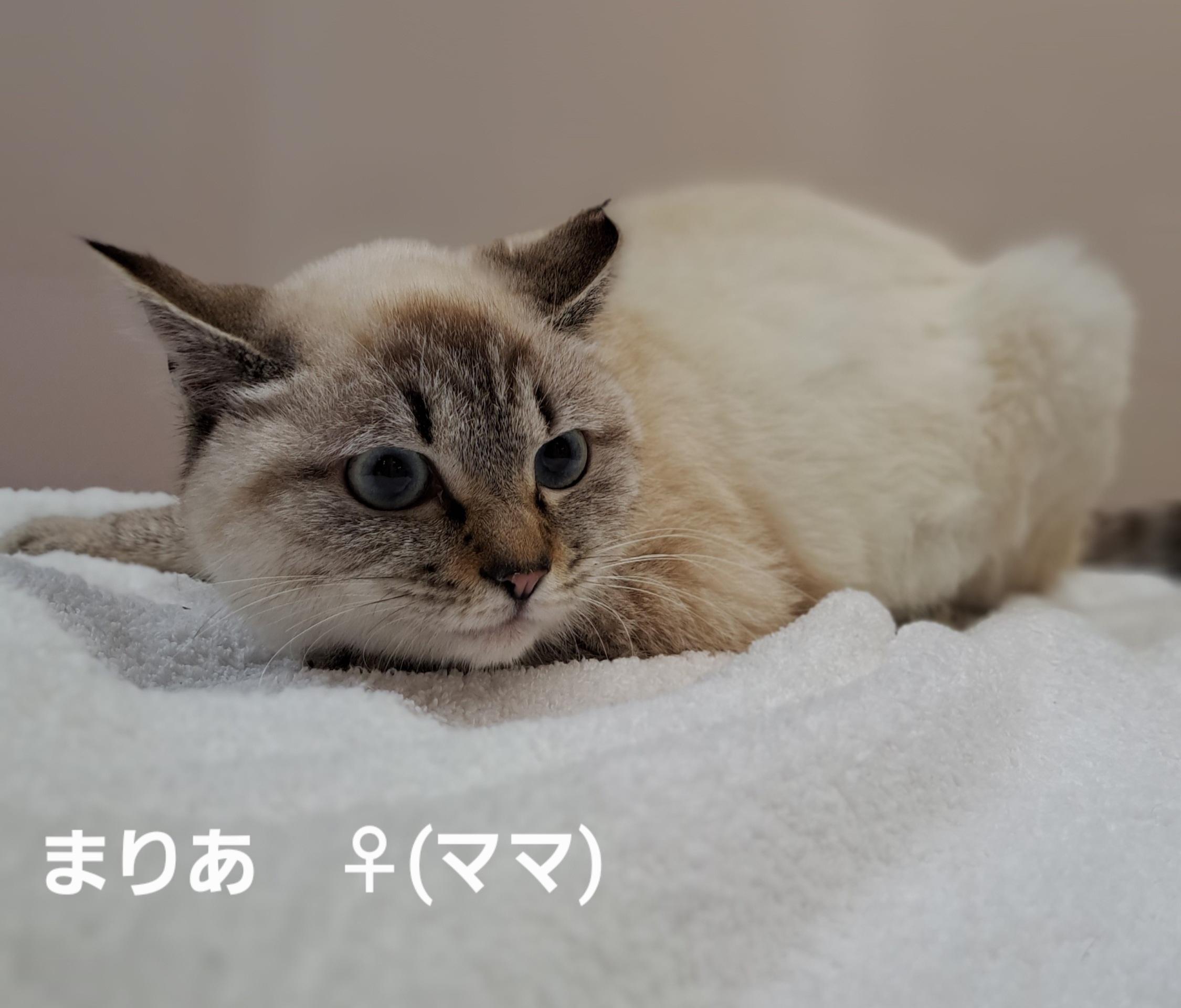 ★★まりあ★★