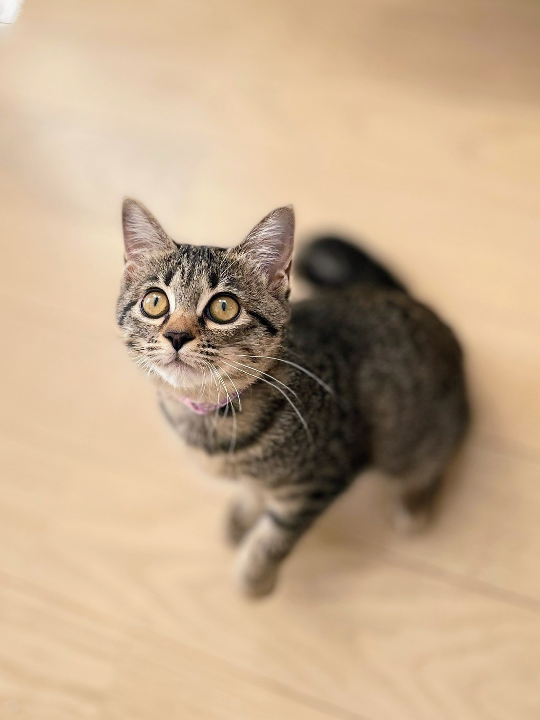 ★★のどか★★