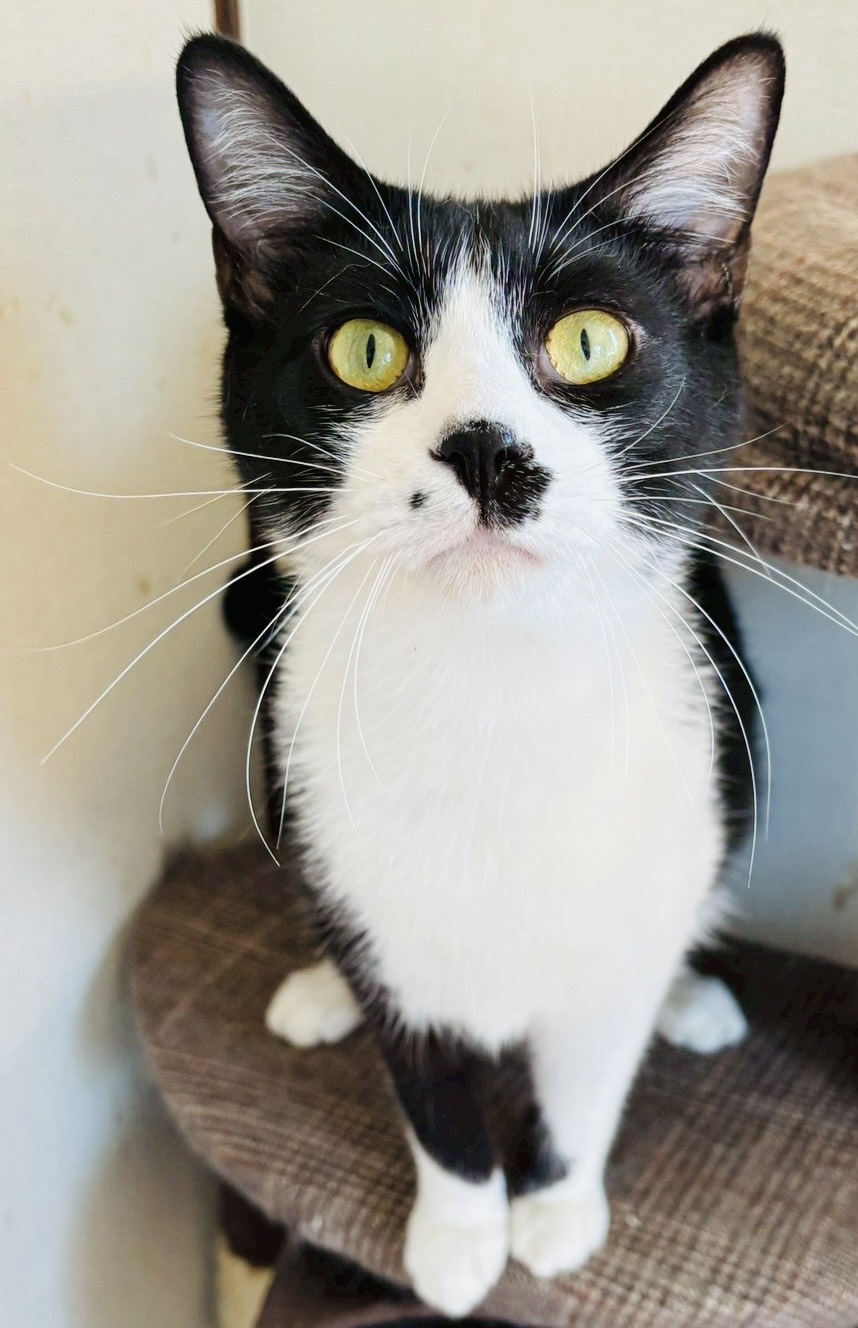 ★★エイト君★★