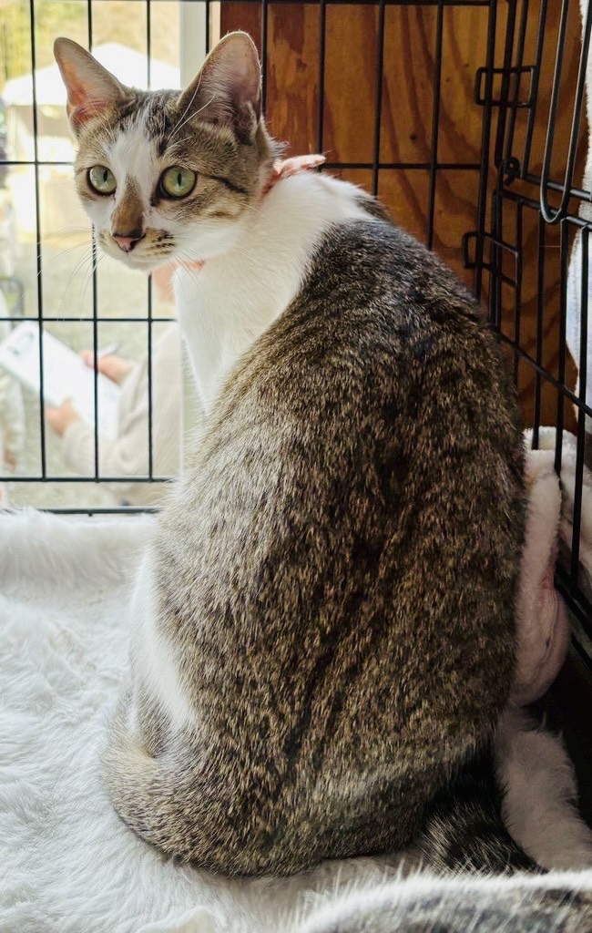 ★★ソルト★★