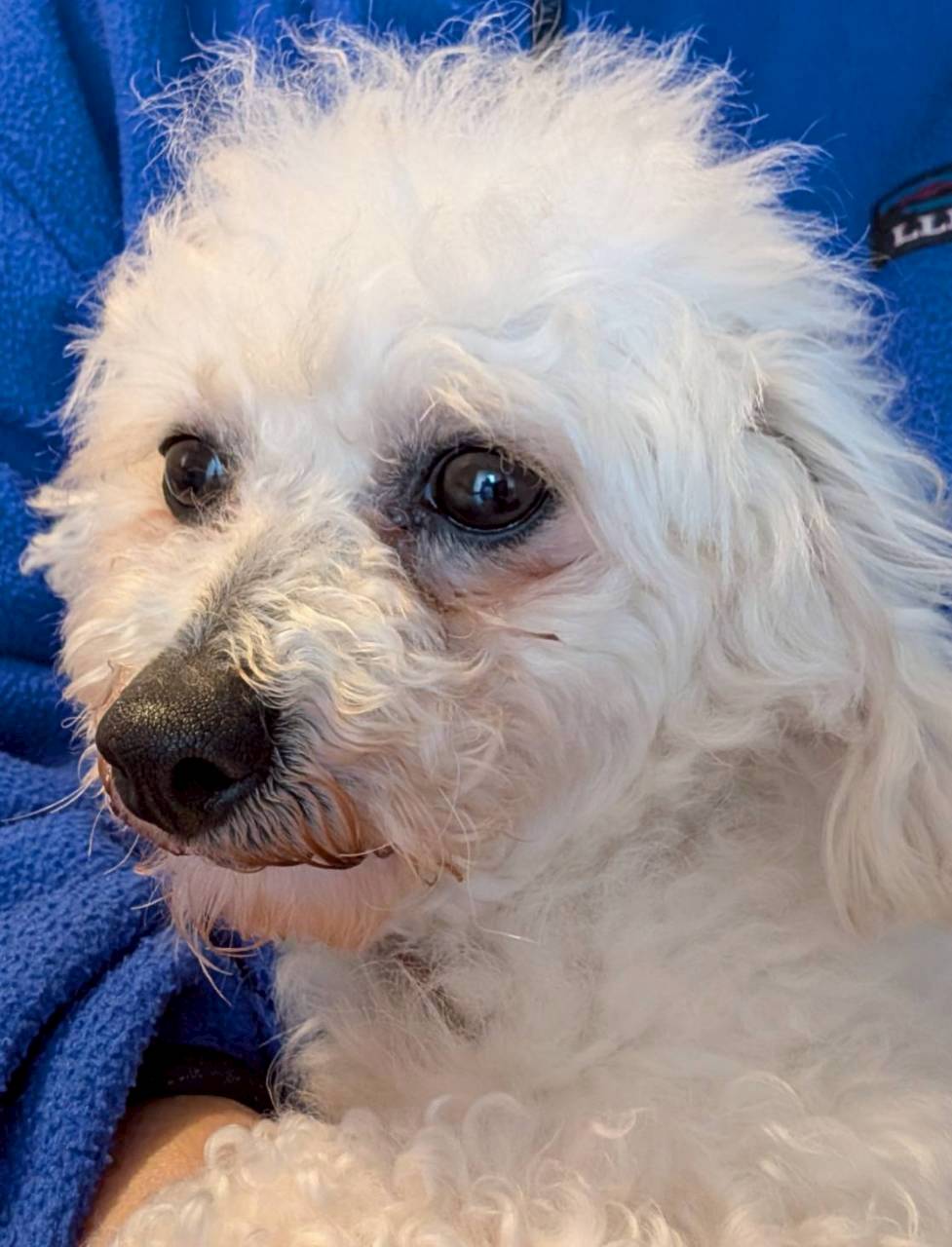 ★★野乃花★★