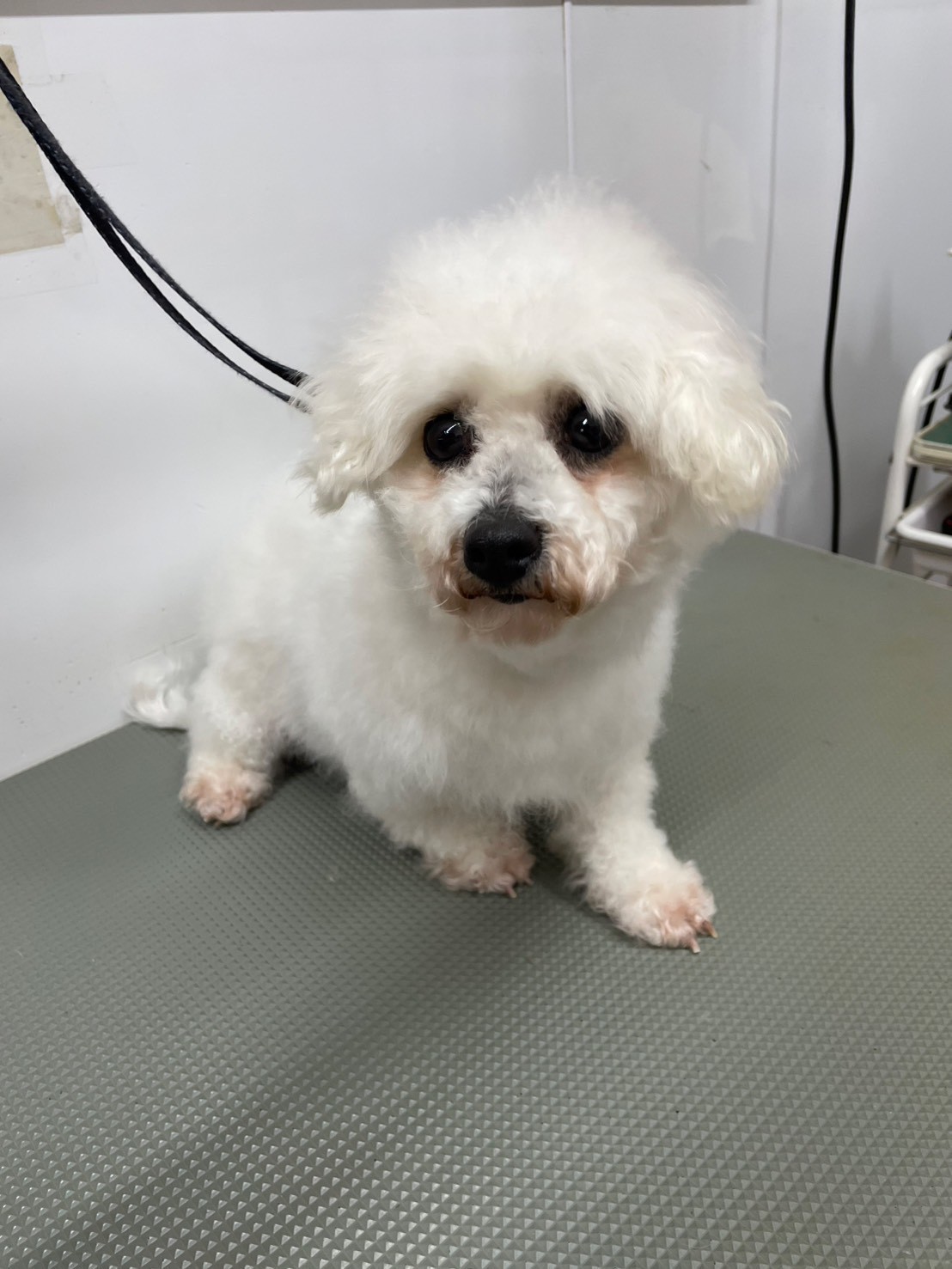 ★★雪乃花★★