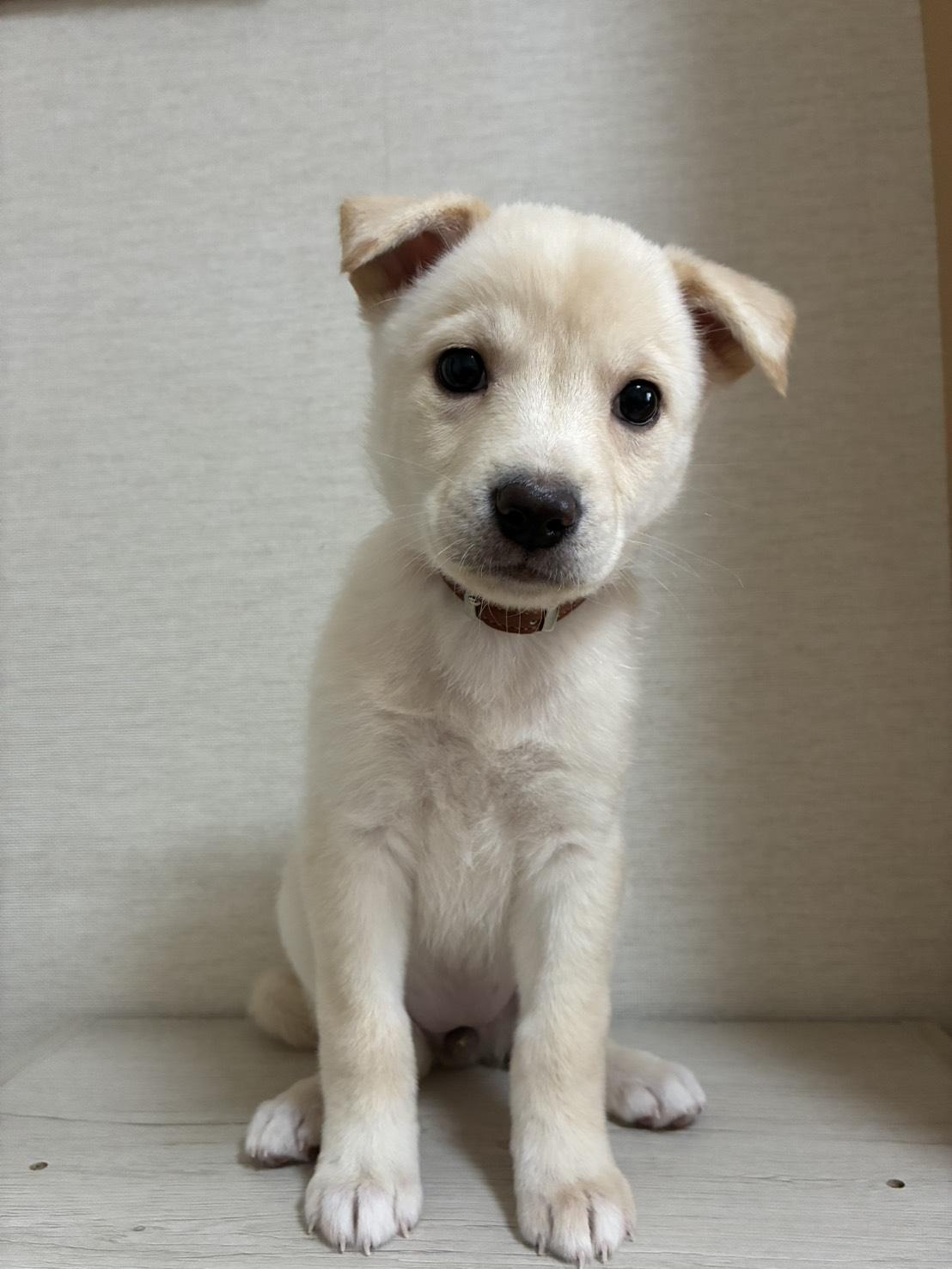 ★★もな★★