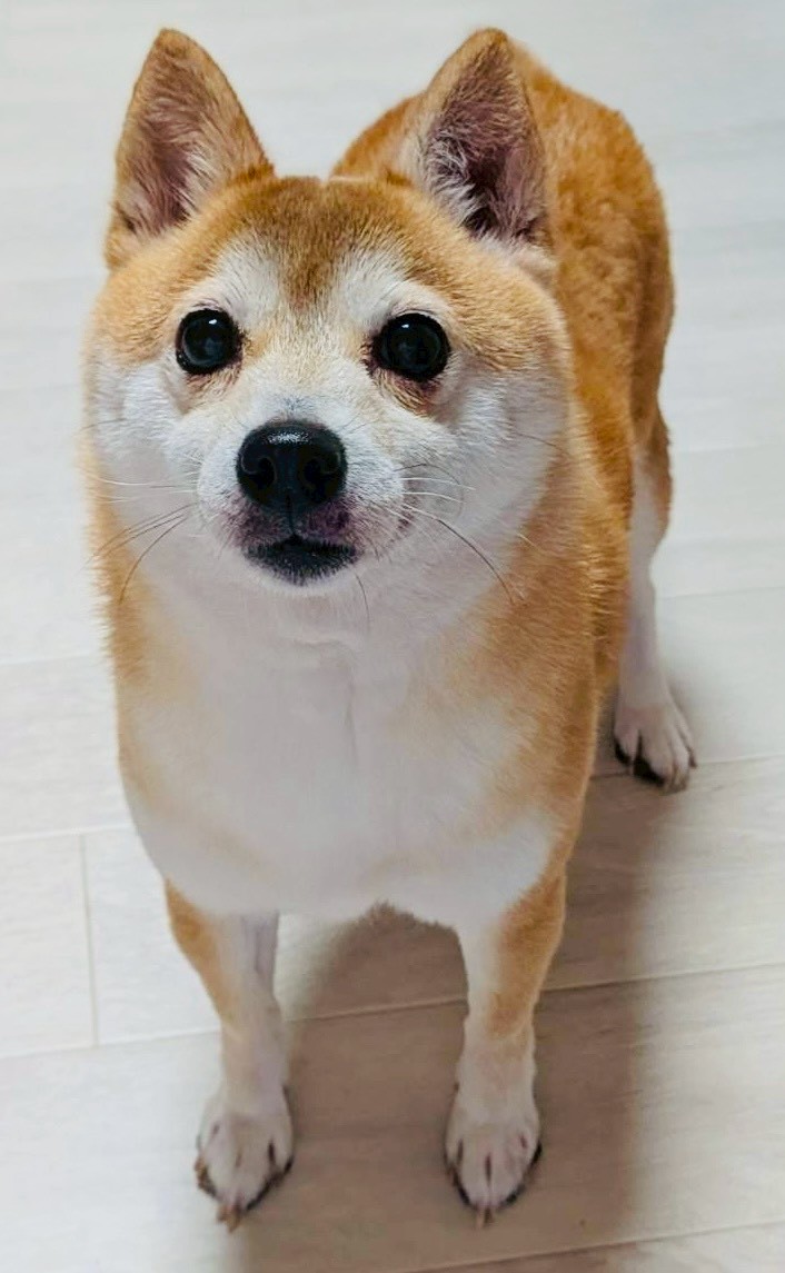 ★★渚（なぎさ）★★