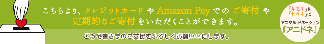 どうぞ皆さまのご支援をよろしくお願いいたします